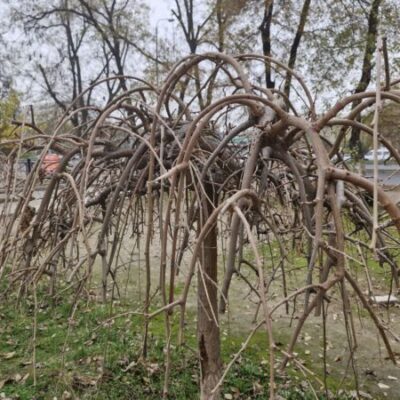 Сегодня обещают дождь, а в понедельник ветер