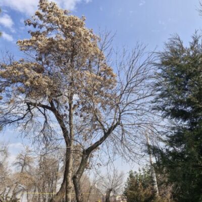 Завтра гроза и прохладнее