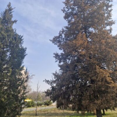 В пятницу один день резкого похолодания