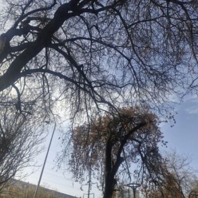 Синоптики предупреждают – в горных районах лавиноопасно!