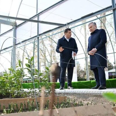 Получать три урожая в год учат в Сурхандарье