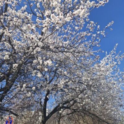 Дожди еще будут, но тепло