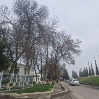 8 и 9 марта обещают без осадков