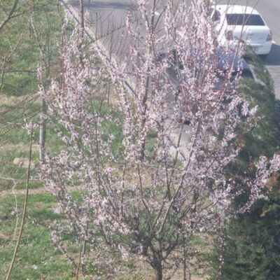 Тепло и временами дожди