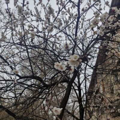 Сегодня +20°