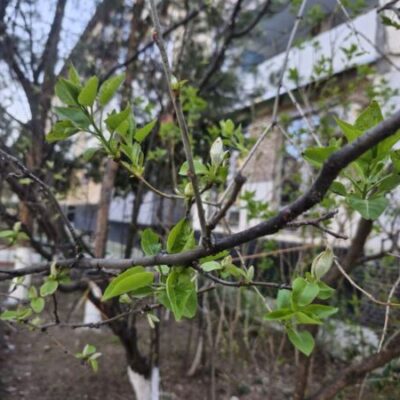 Немного дождя и тепло