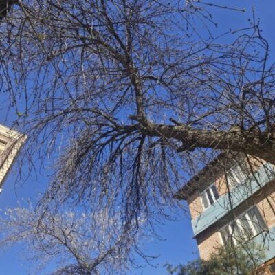 Сегодня и завтра — лето, а в воскресенье дожди и грозы