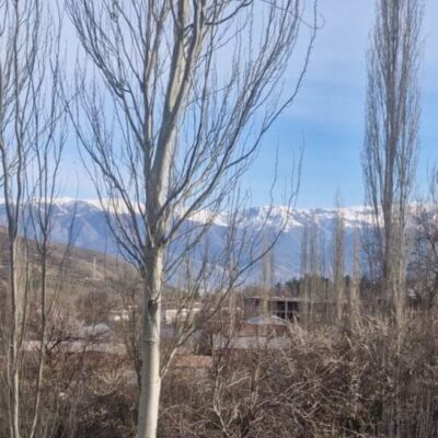 Сегодня и завтра возможно усиление ветра