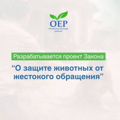 За жестокое обращение с животными необходимо строже наказывать