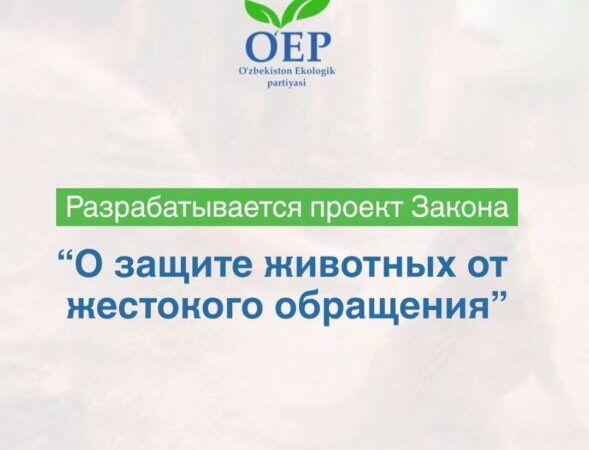 За жестокое обращение с животными необходимо строже наказывать