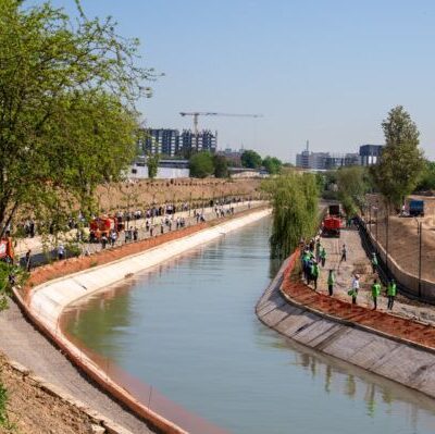 Проект Yashil zamin: вклад в зелёное будущее