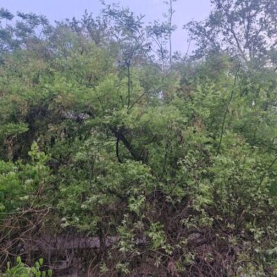 Выходные без дождя