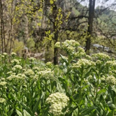 Сегодня гораздо теплее