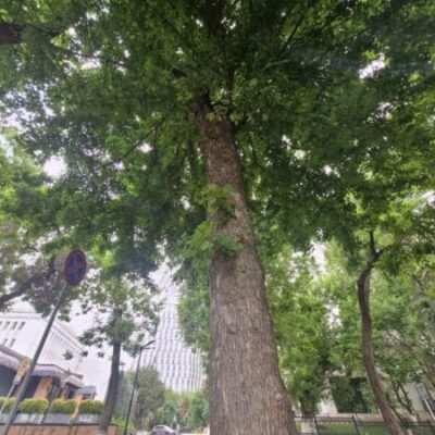 В регионах сегодня ветер