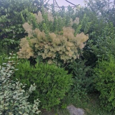 Лето. Жарко. Иногда дожди