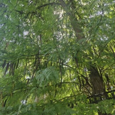 Завтра в регионах до +40°