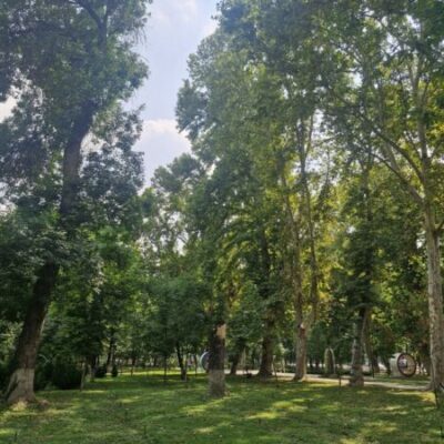 Сегодня ветер и прохладнее