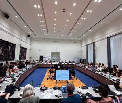 Опыт Узбекистана по правовым гарантиям представлен в Вене