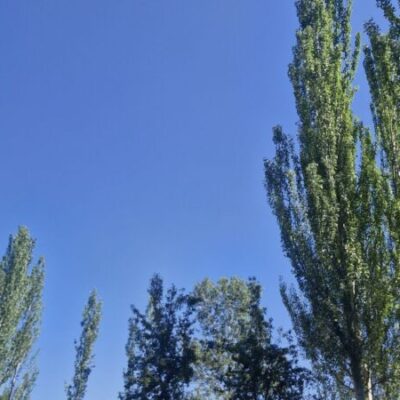 Стабильная жара