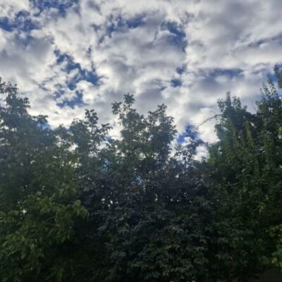 Ближайшая температура +25°