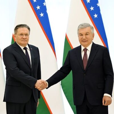 Президент РУз принял главу «Росатома»
